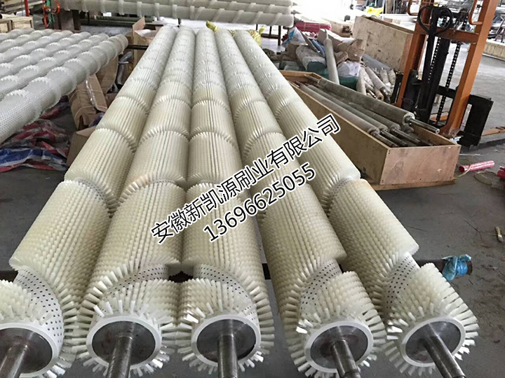 蔬菜水果清洗毛刷辊